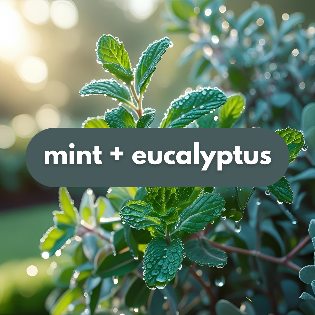 shower steamer spray | shower steamers | bath and body | mint | eucalyptus