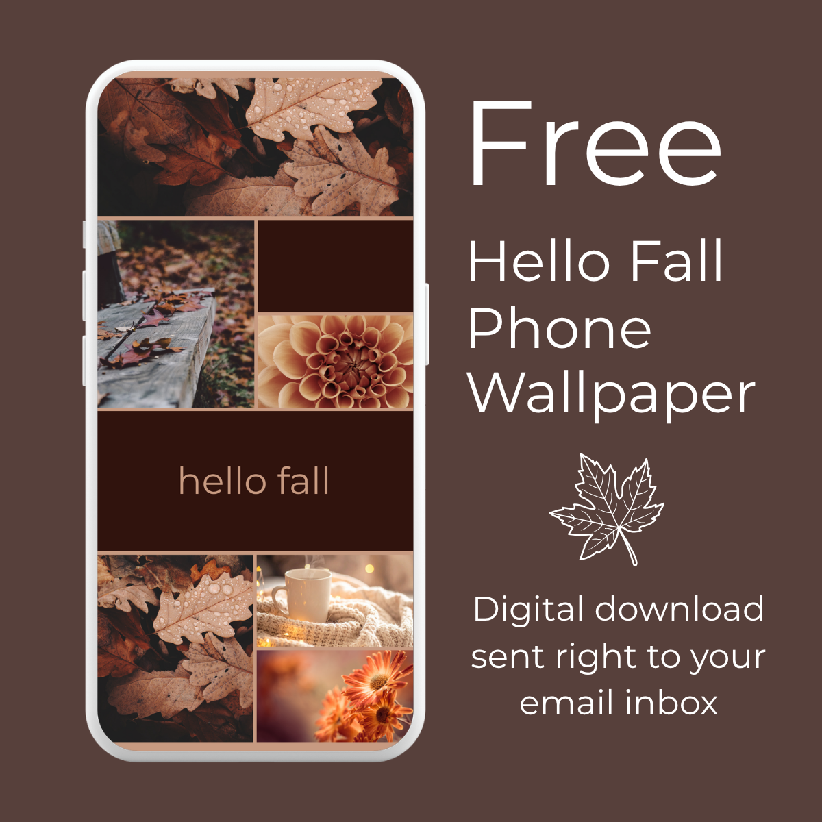 Hello Fall Mood Wallpaper